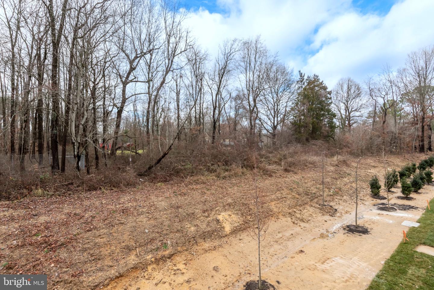 282 Alluvium Dr Property Photo 32