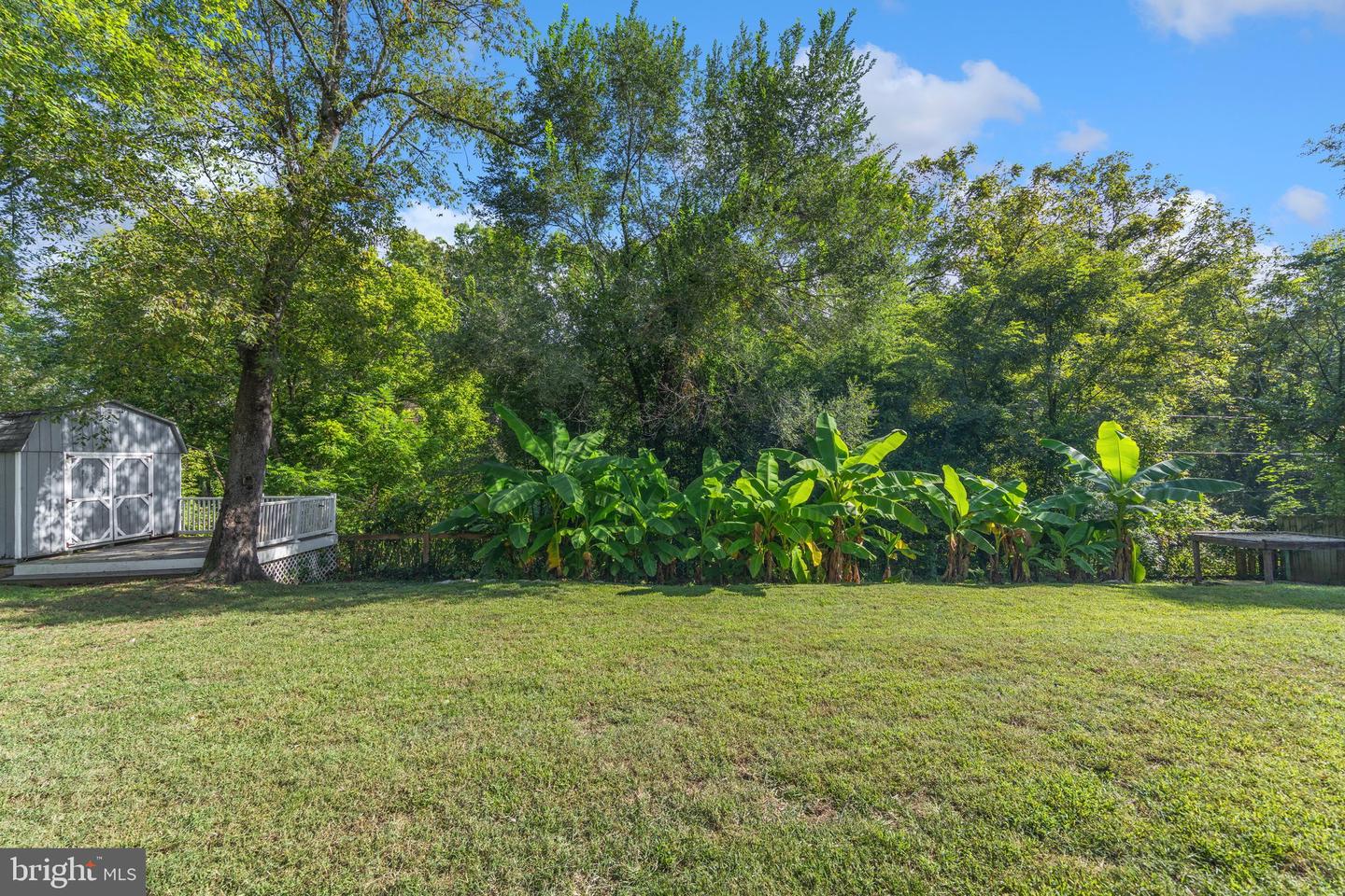 212 Bertram Cir Property Photo 36