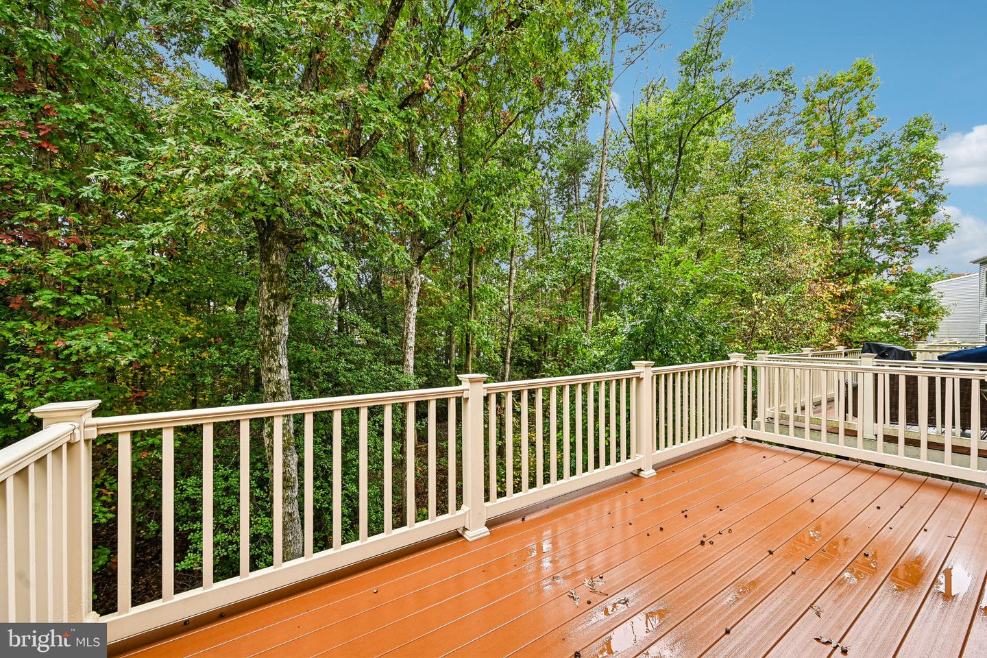 7517 Holly Ridge Dr Property Photo 55