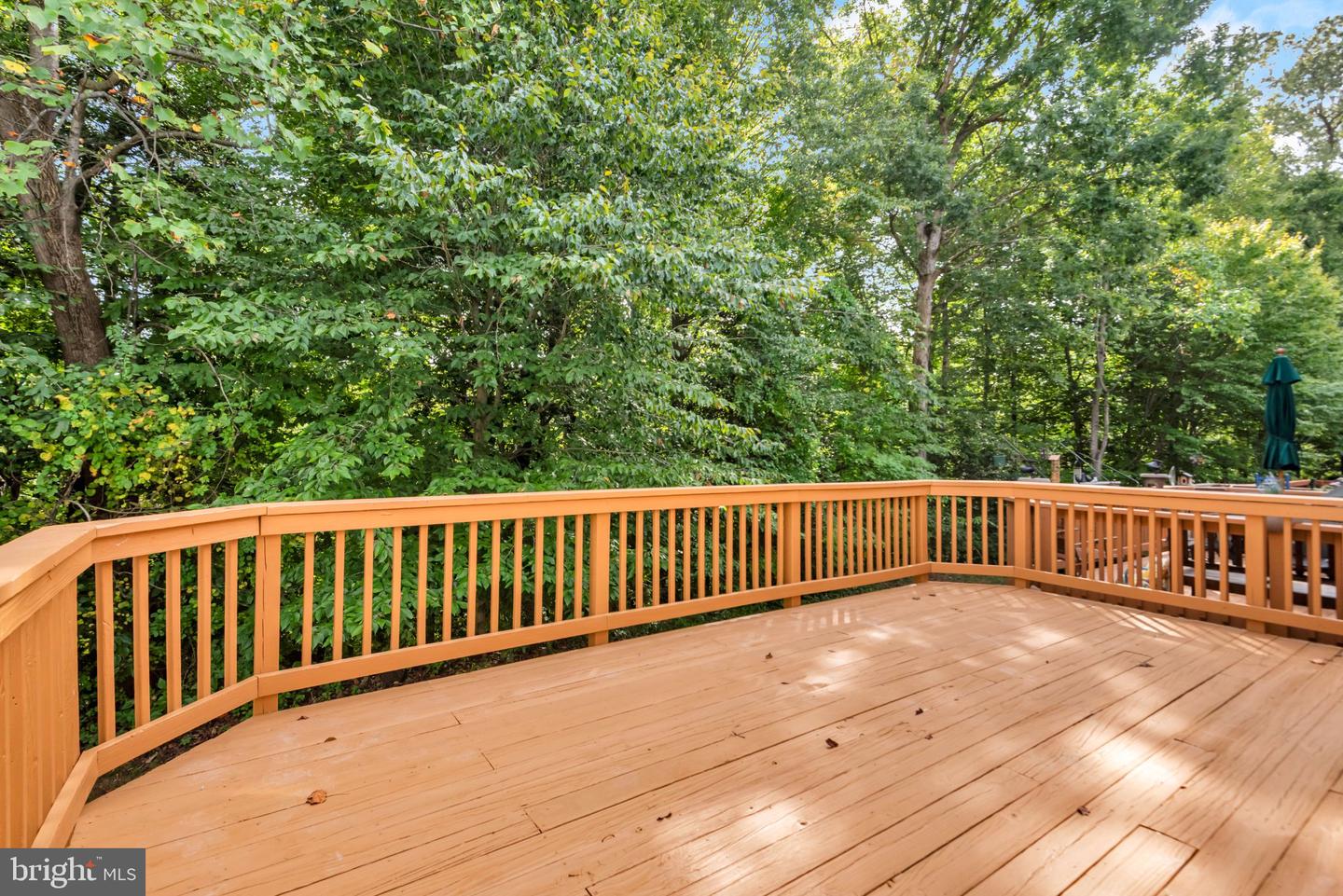 615 Bellerive Ct Property Photo 37