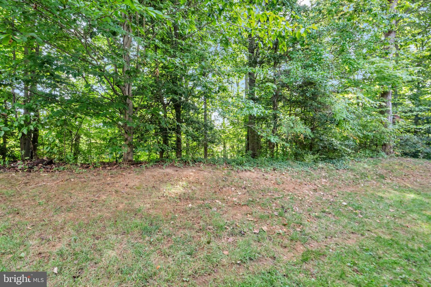 615 Bellerive Ct Property Photo 40