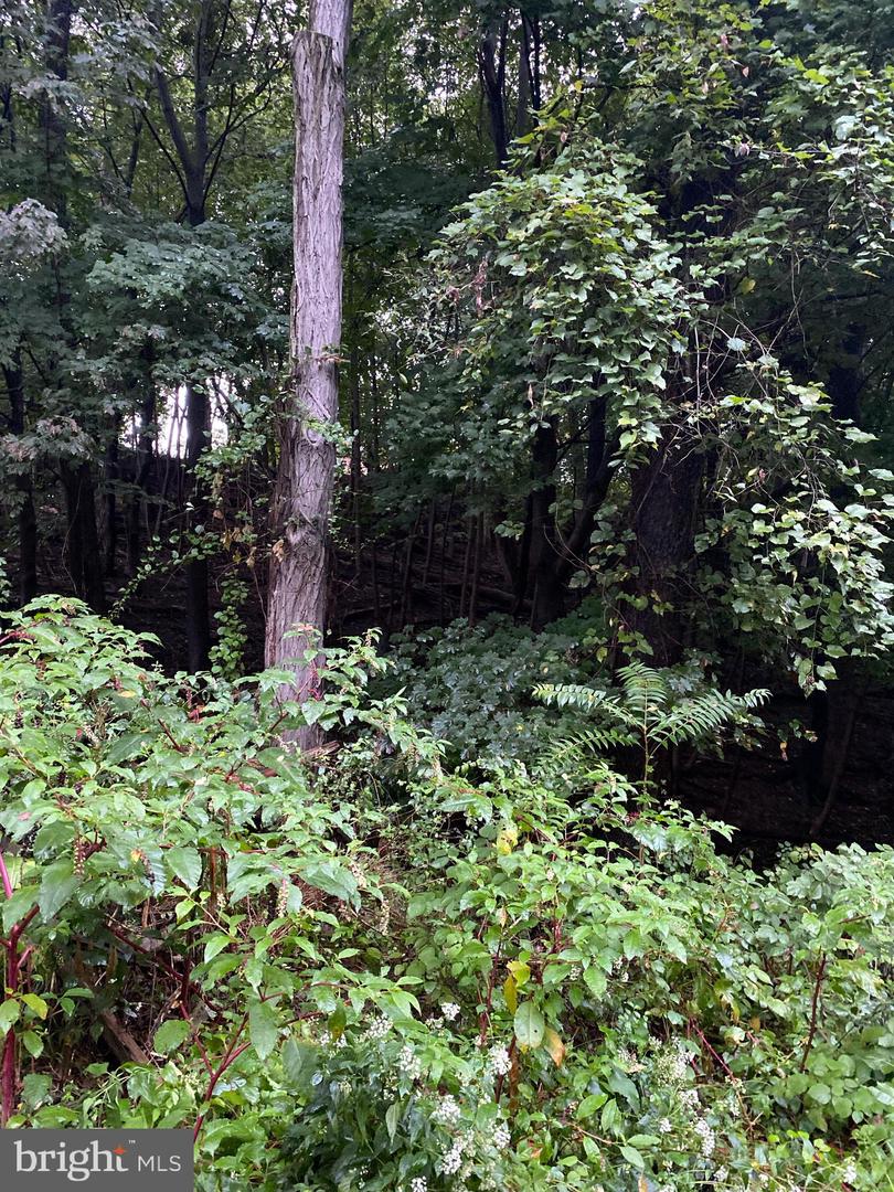 Sheridan Pl Property Photo 3