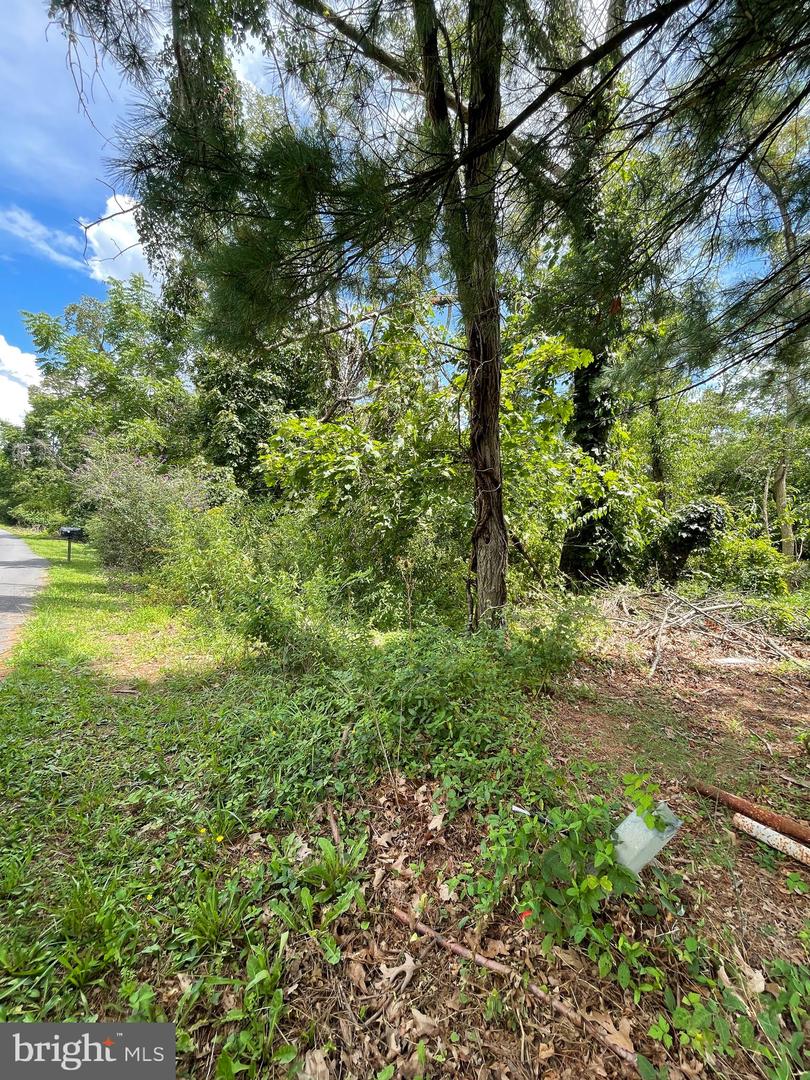 White Oak Dr Property Photo