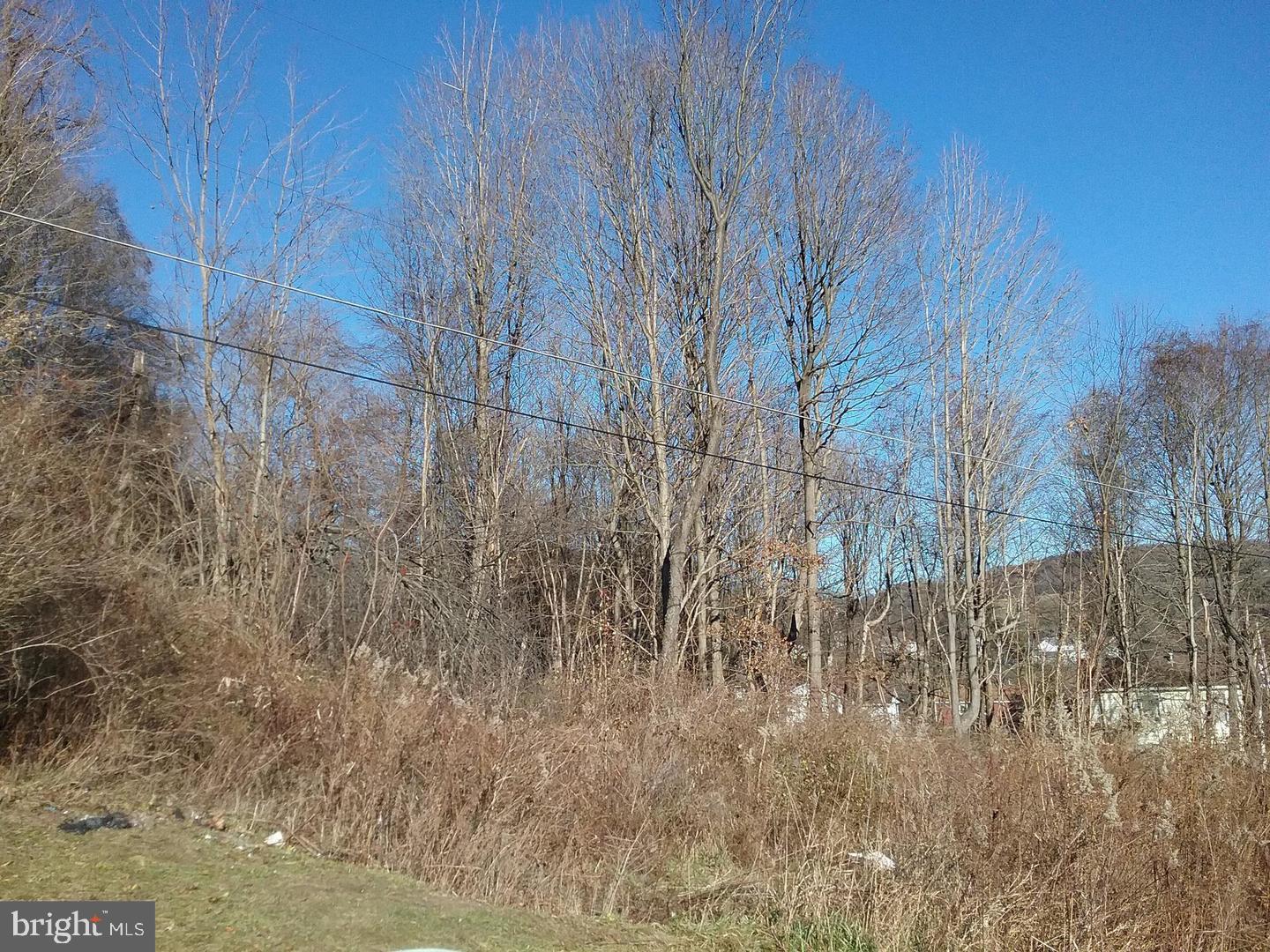Route 40 Rd Property Photo 2