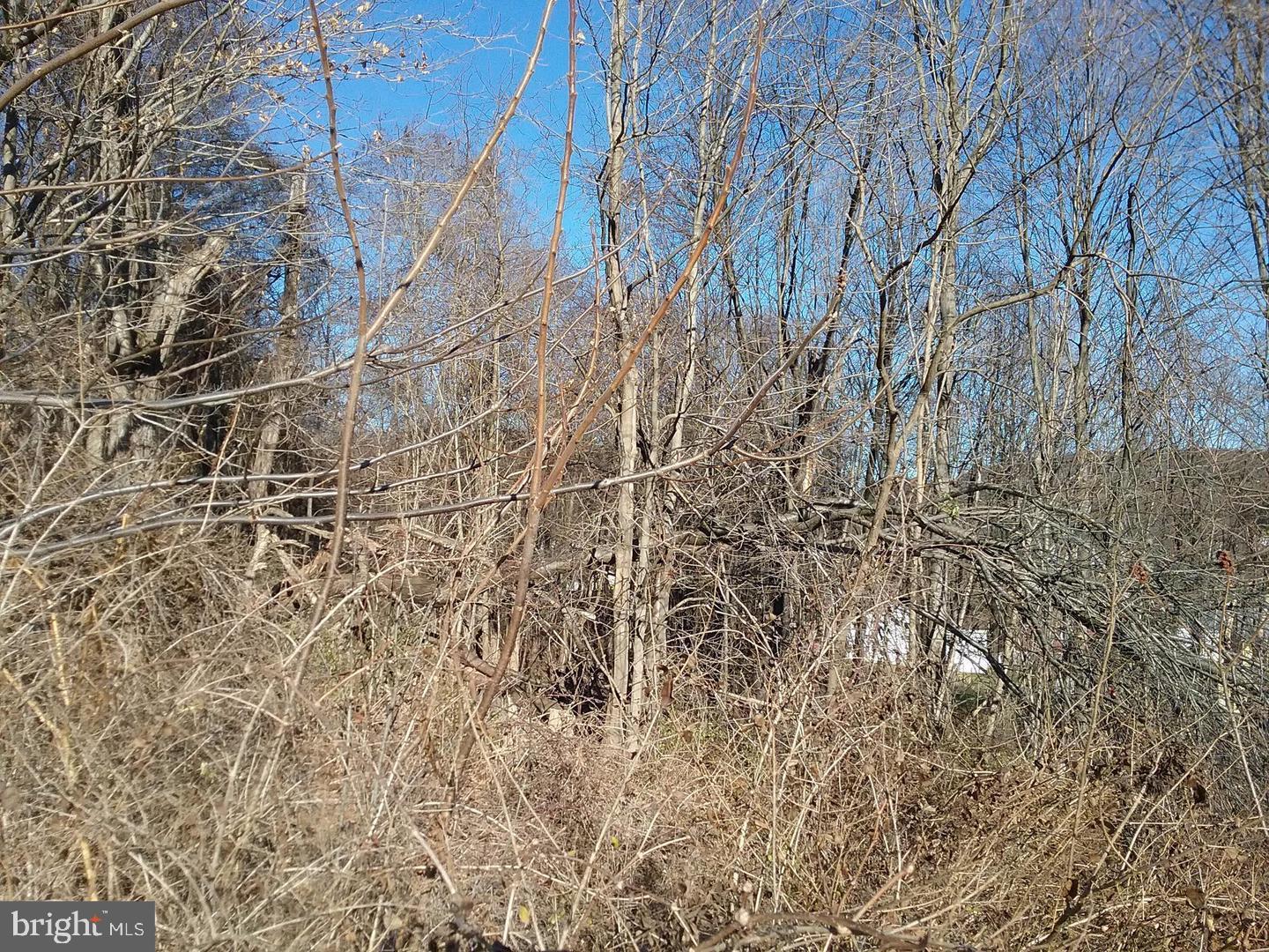Route 40 Rd Property Photo 3