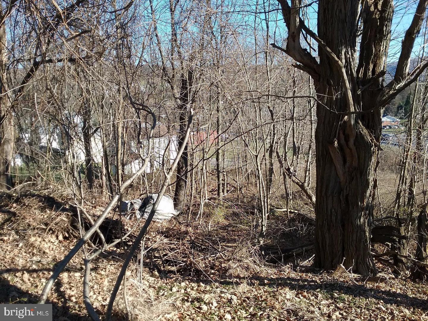 Route 40 Rd Property Photo 5