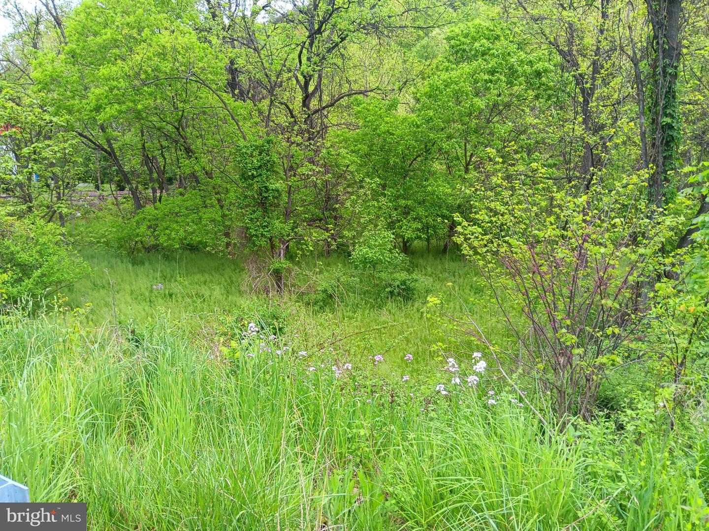 Mcmullen Hwy Property Photo