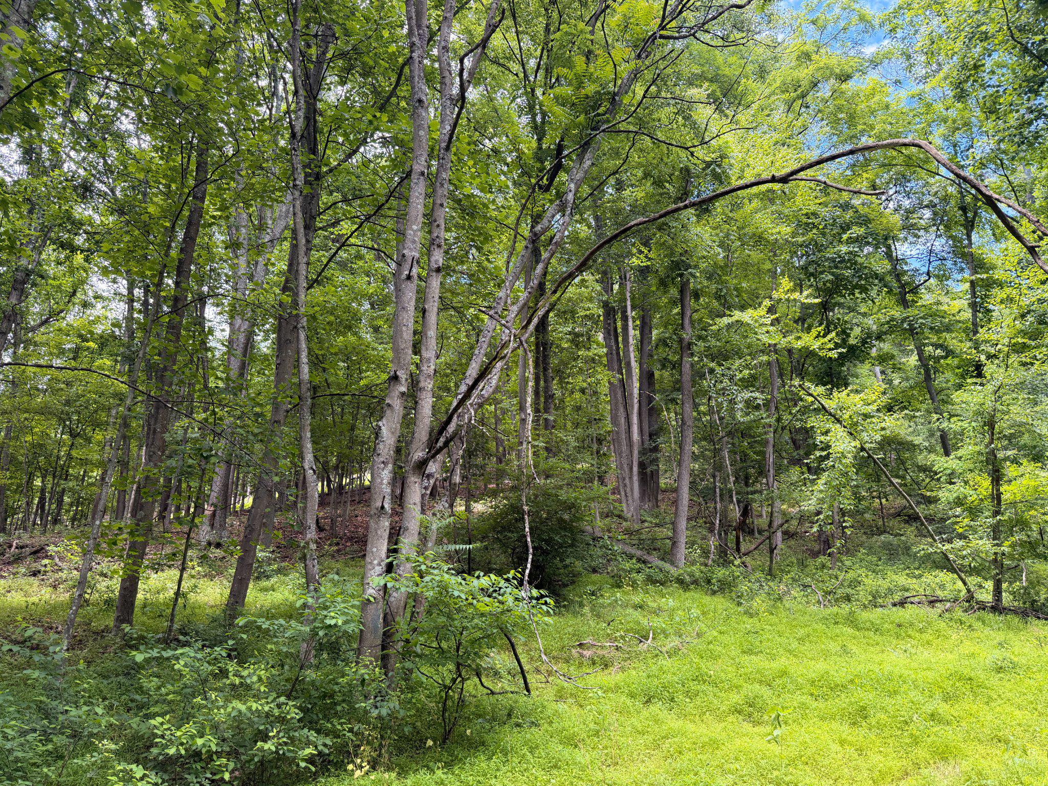 14600 Williams Rd Se Property Photo 15