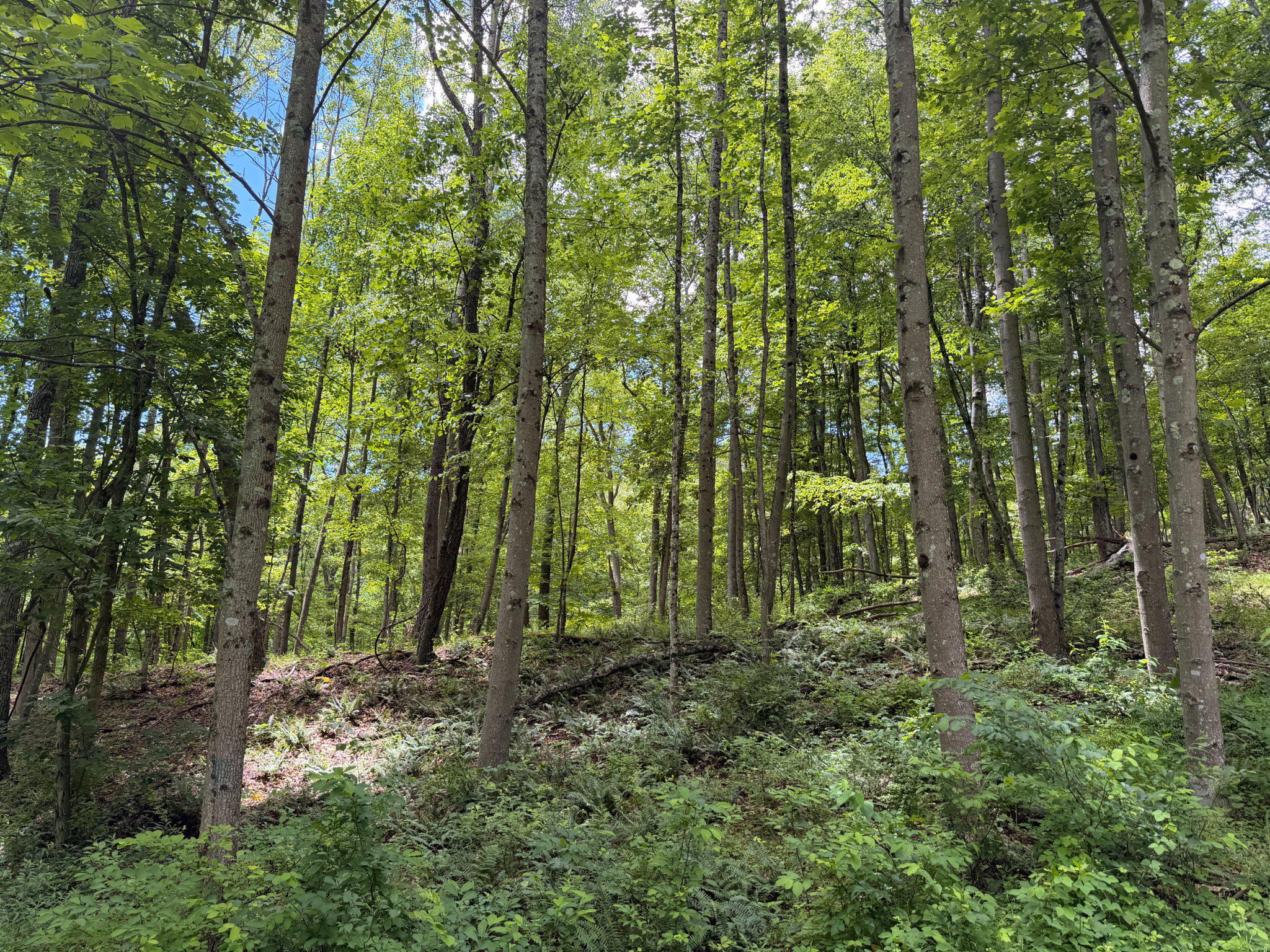 14600 Williams Rd Se Property Photo 16