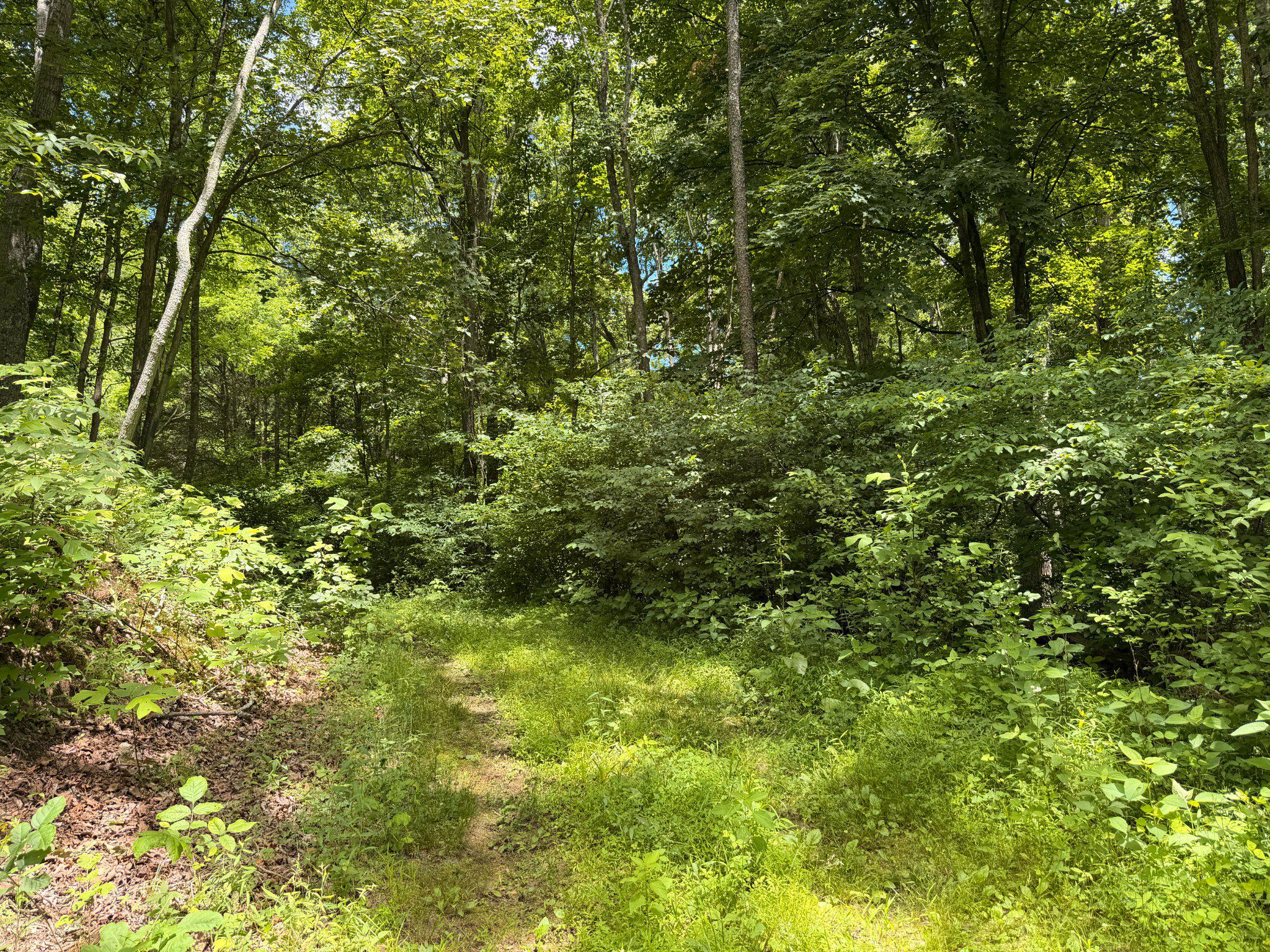 14600 Williams Rd Se Property Photo 19