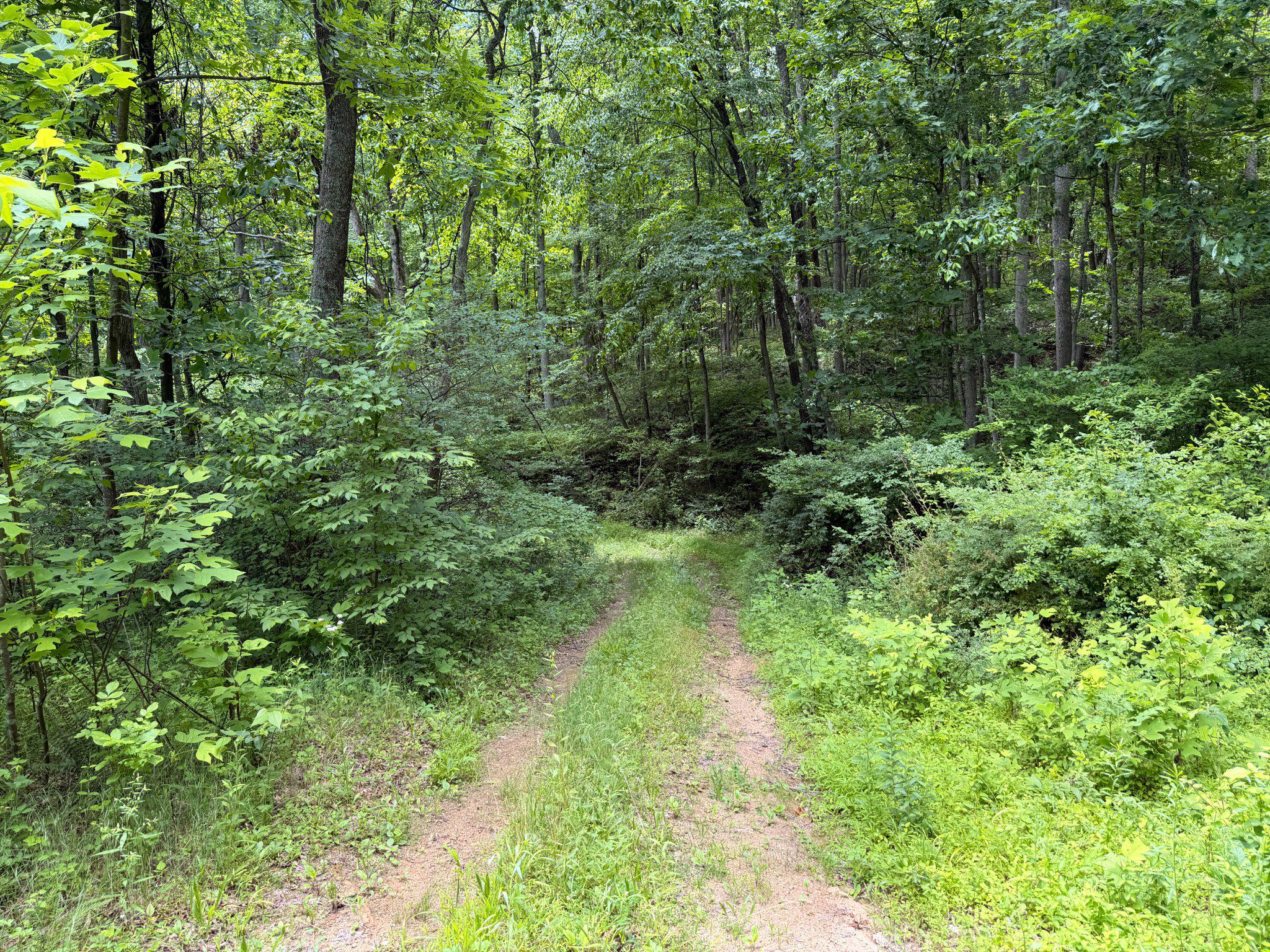 14600 Williams Rd Se Property Photo 21