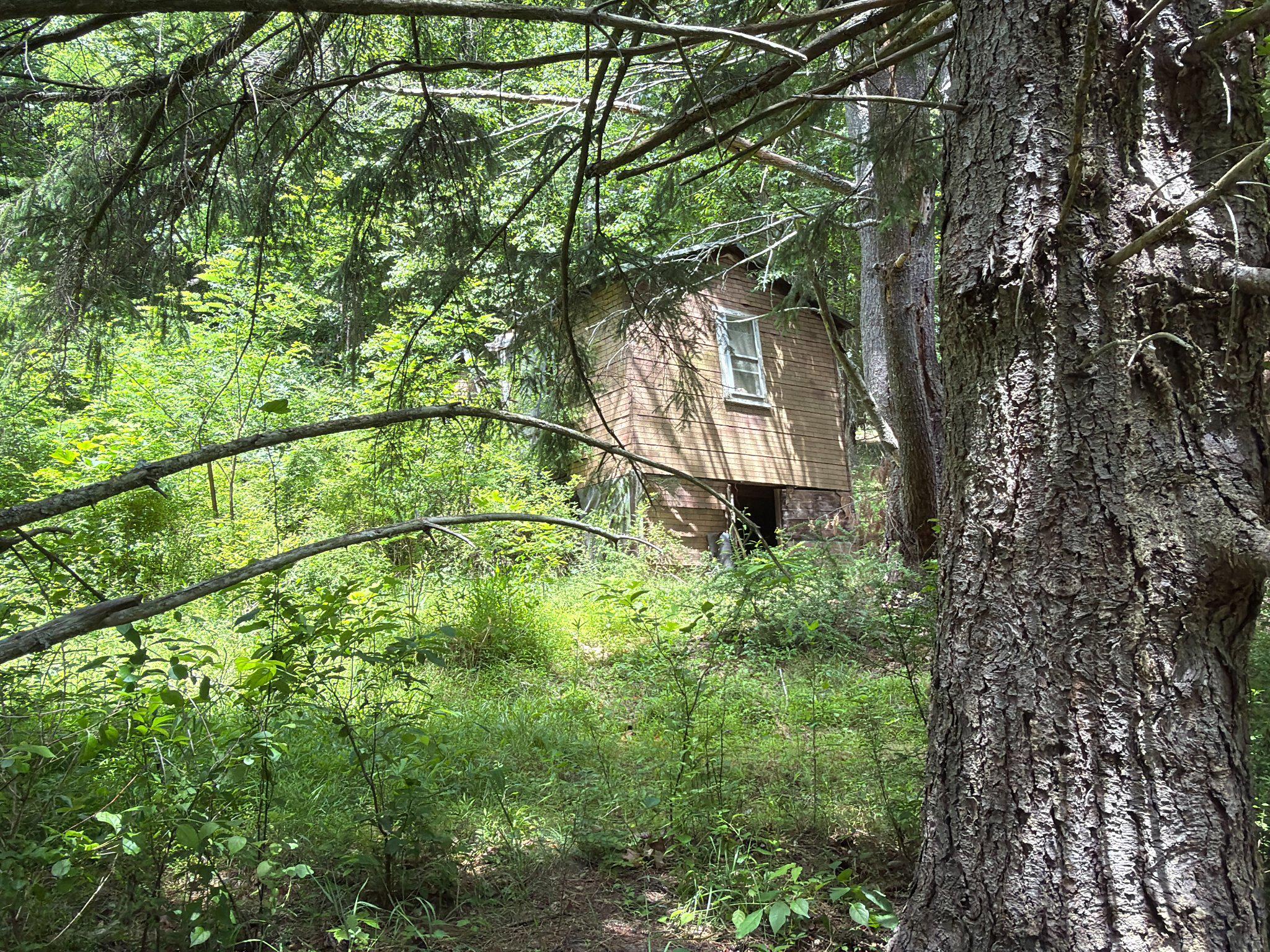14600 Williams Rd Se Property Photo 25