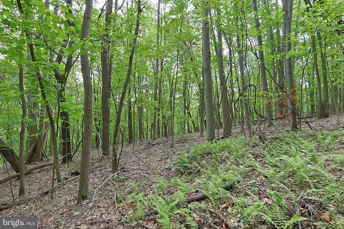 14600 Williams Rd Se Property Photo 51