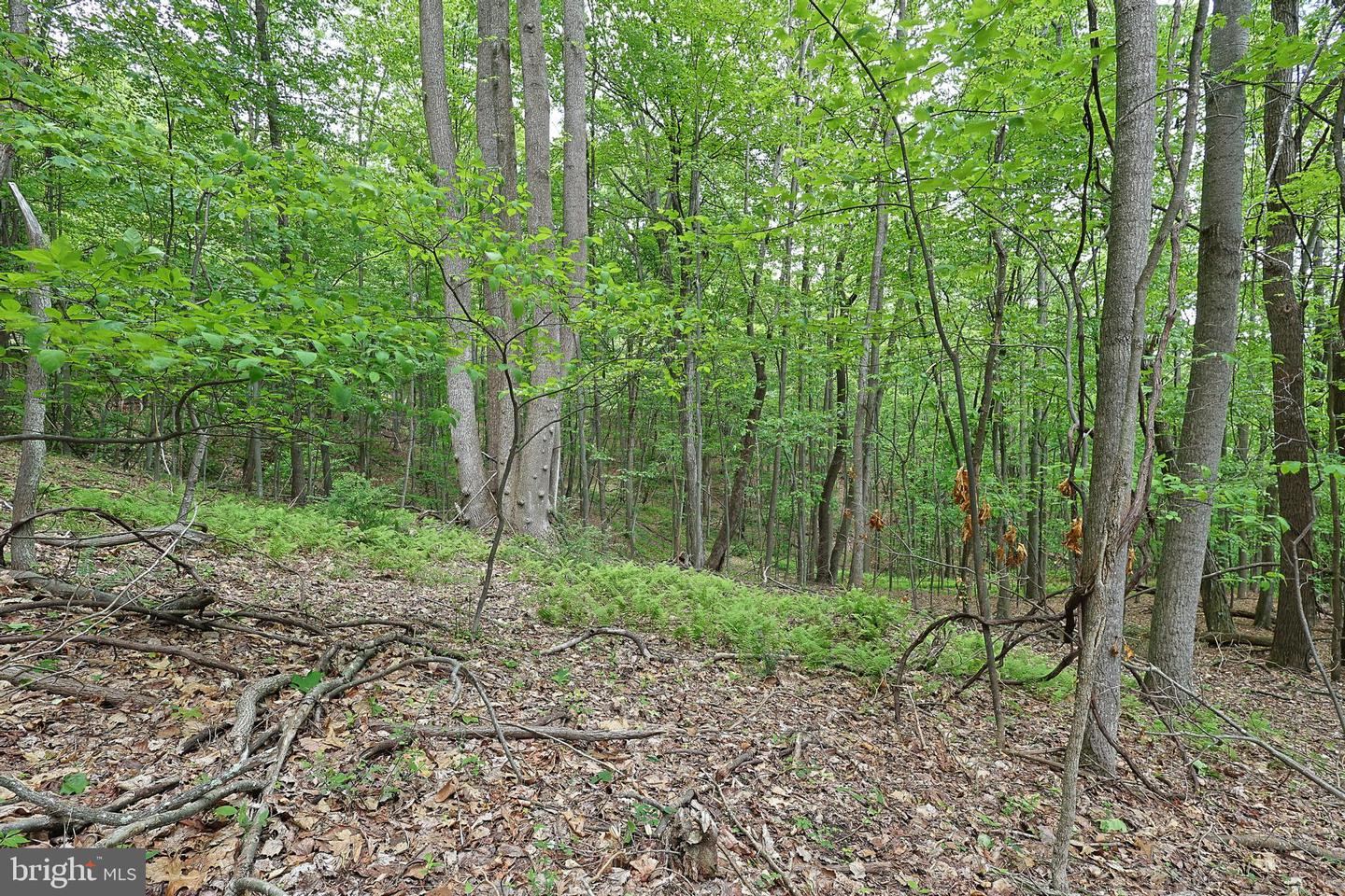14600 Williams Rd Se Property Photo 52
