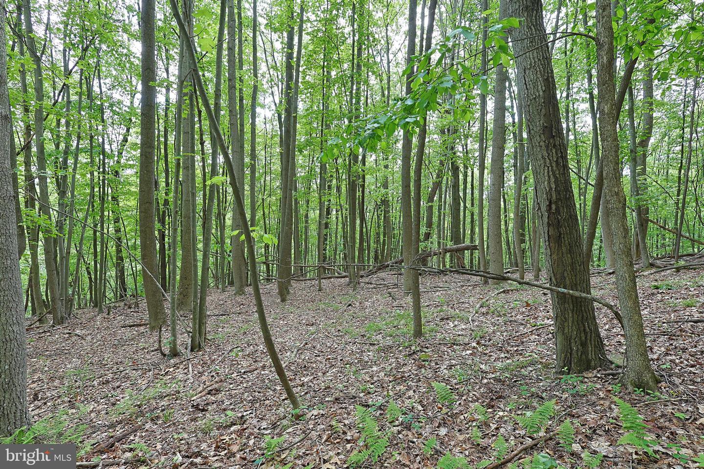 14600 Williams Rd Se Property Photo 53