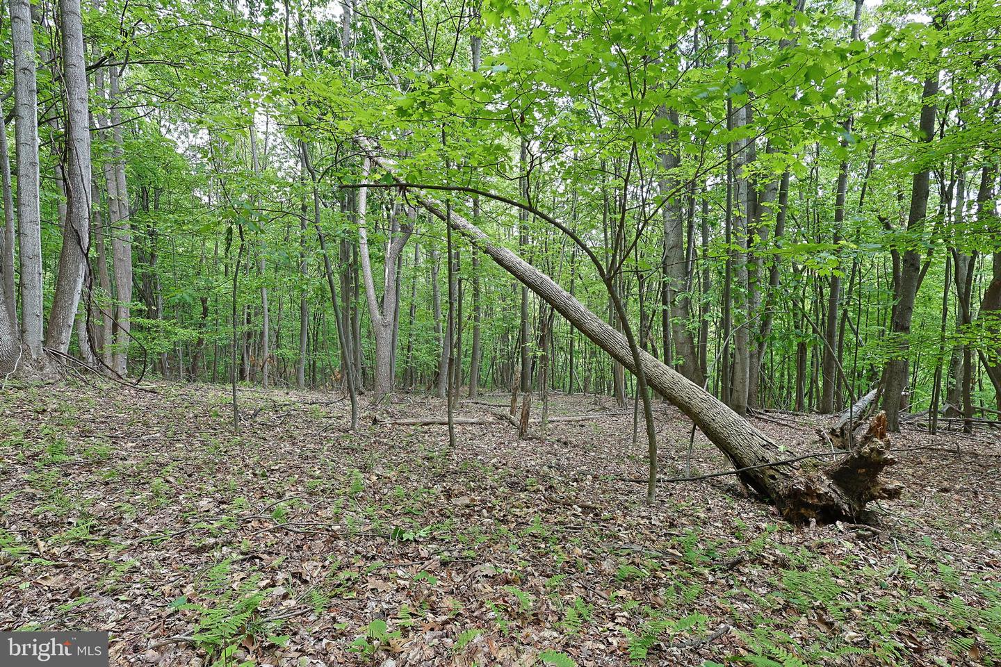 14600 Williams Rd Se Property Photo 54