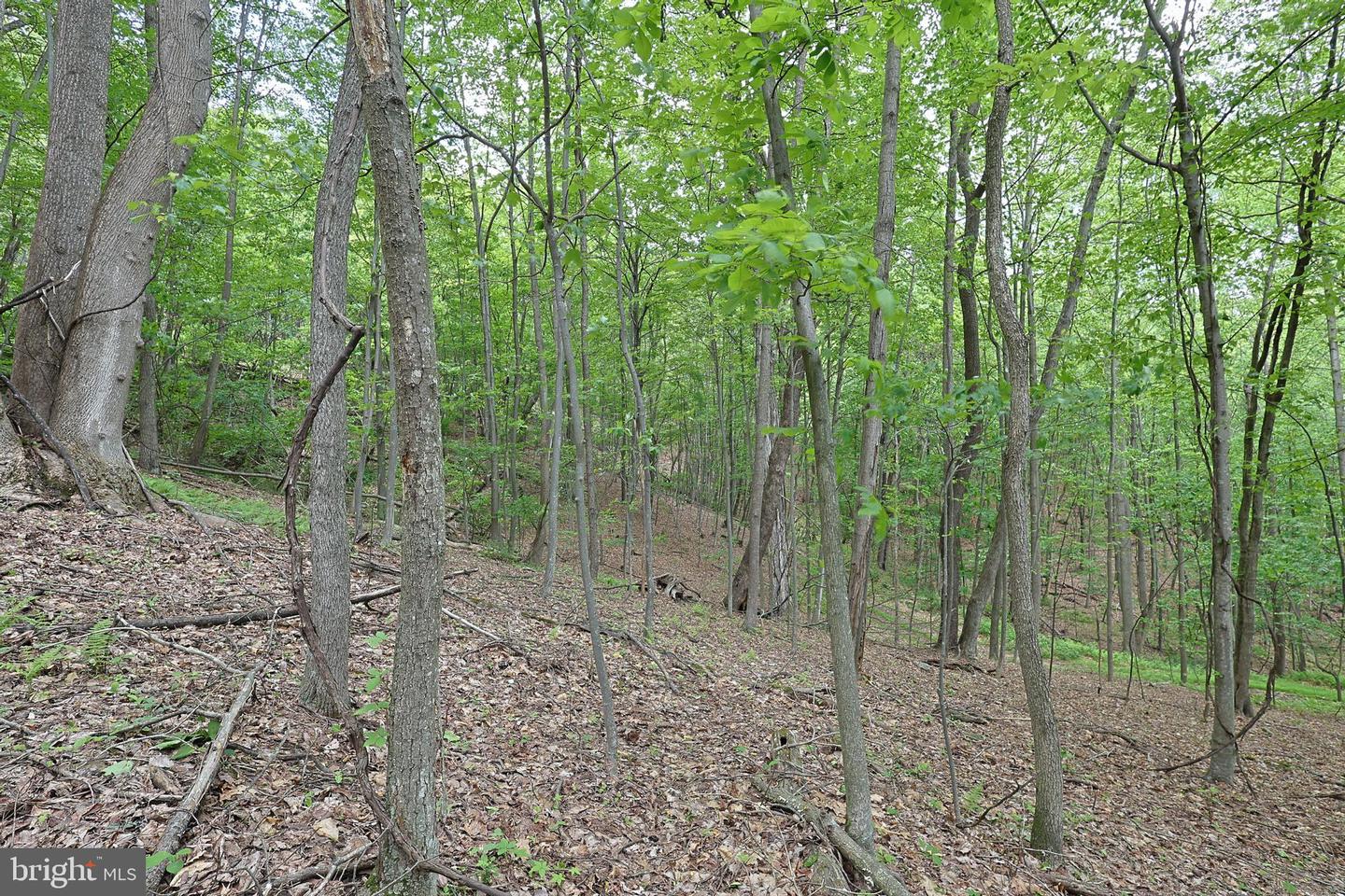 14600 Williams Rd Se Property Photo 61