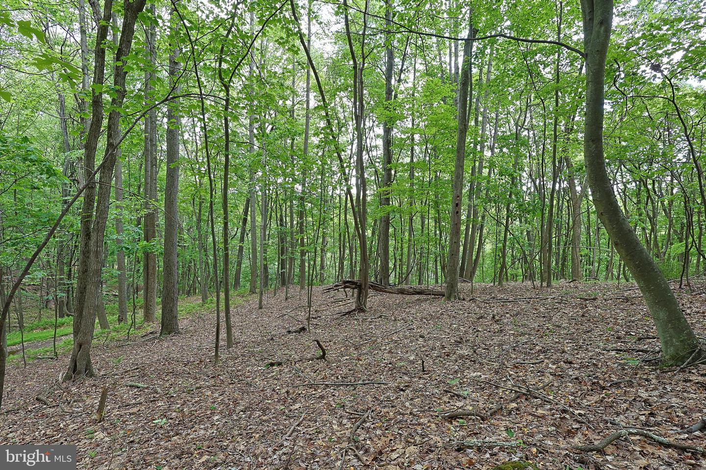 14600 Williams Rd Se Property Photo 62