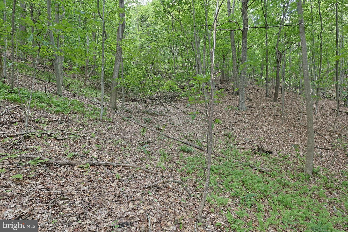 14600 Williams Rd Se Property Photo 63