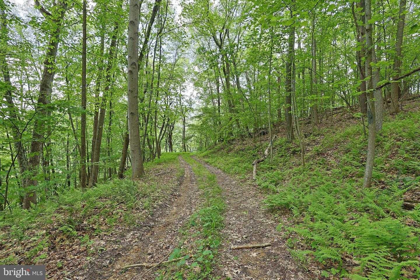 14600 Williams Rd Se Property Photo 65