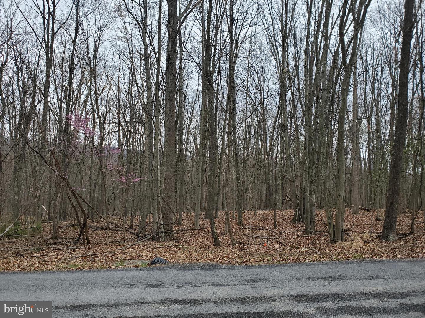 Walnut Ridge Rd Property Photo 1