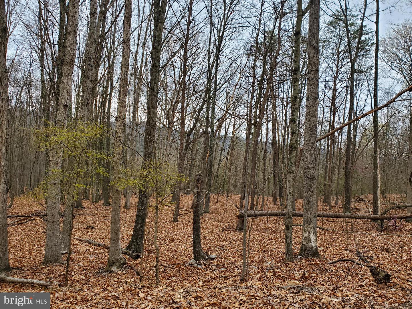 Walnut Ridge Rd Property Photo 2