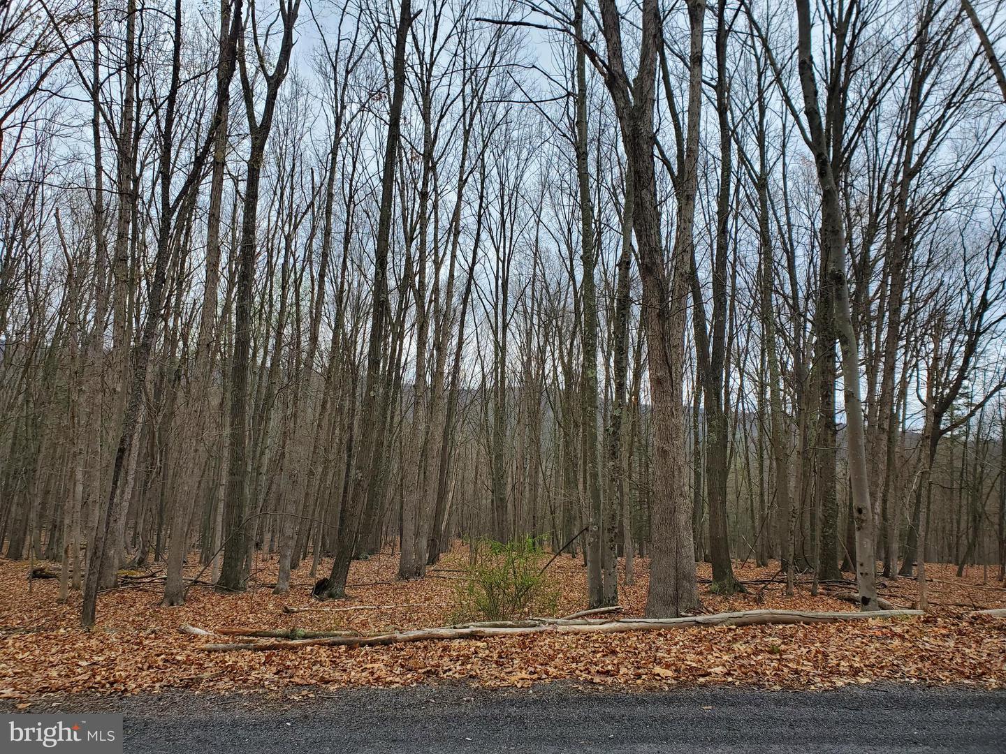Walnut Ridge Rd Property Photo 3