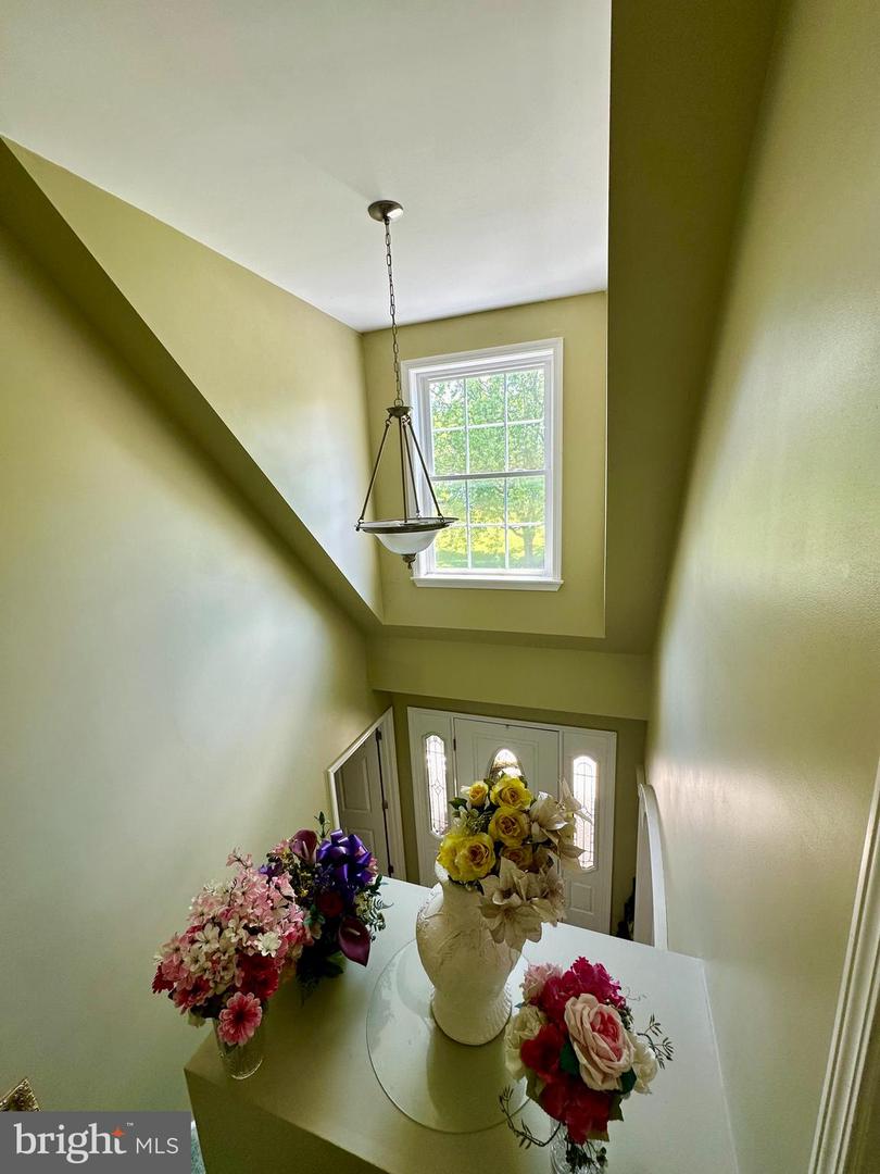 11115 Layman St Property Photo 10