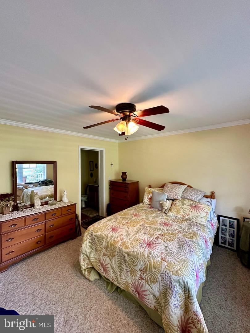 11115 Layman St Property Photo 22
