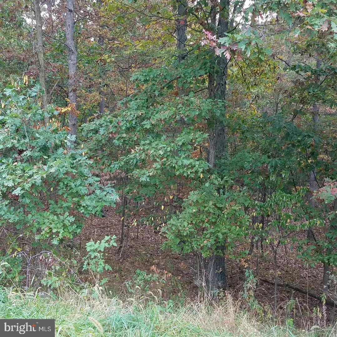 13902 Rolling Oak Dr Property Photo 2
