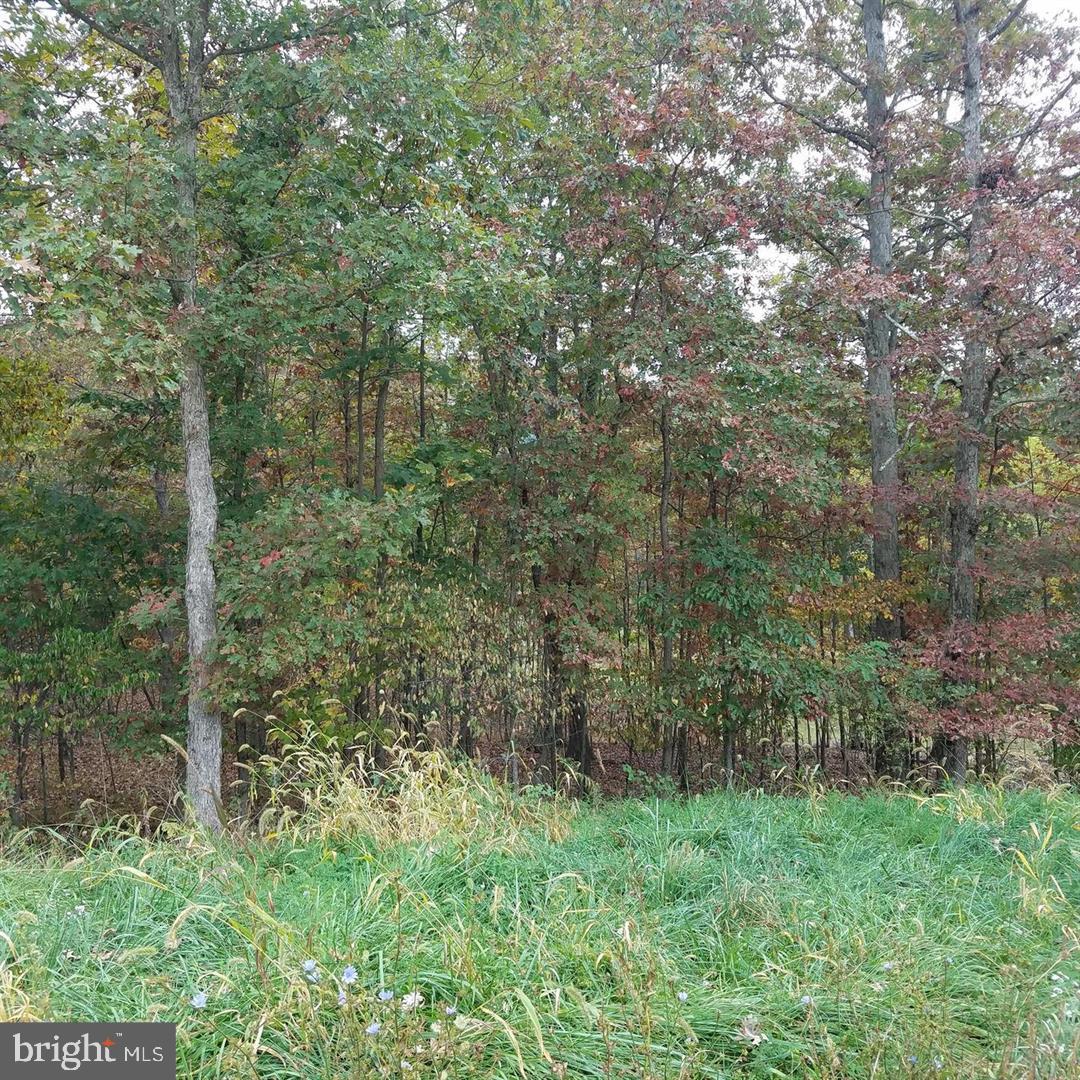 13902 Rolling Oak Dr Property Photo 3