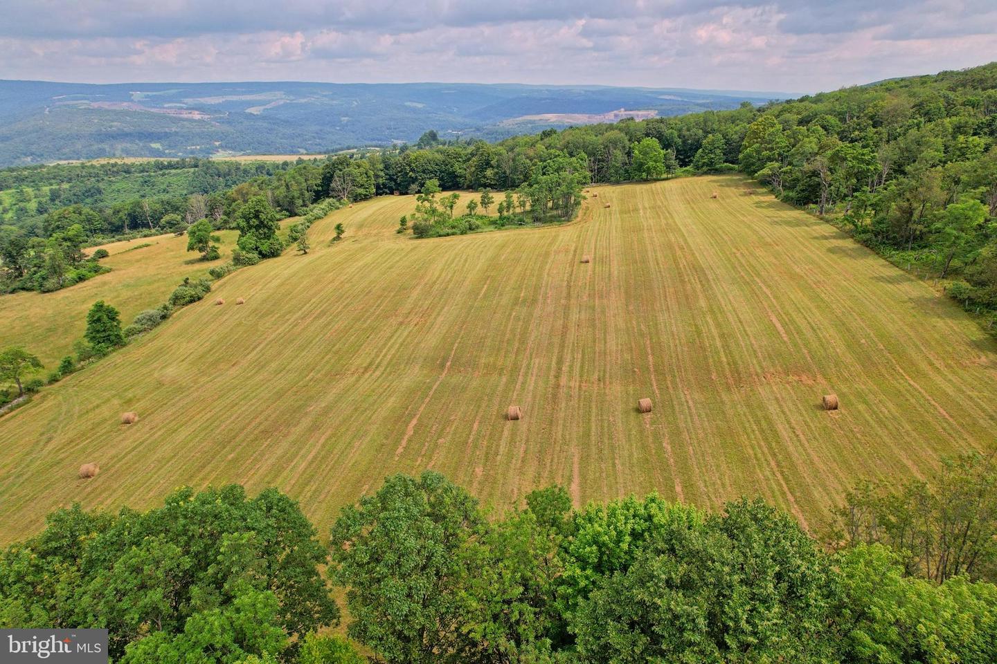 21205 Long Mountain Road Property Photo 12