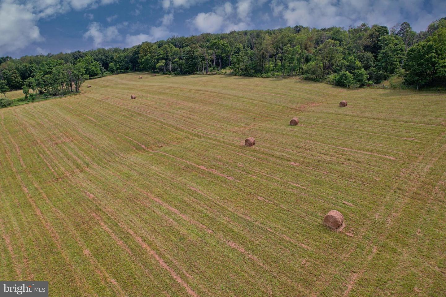 21205 Long Mountain Road Property Photo 13