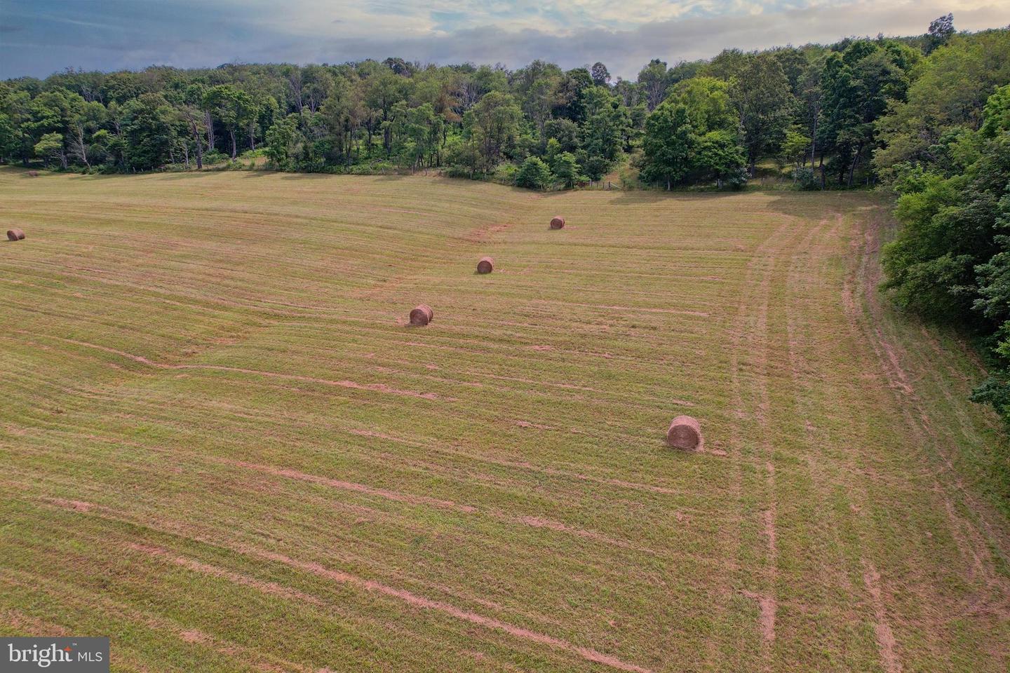 21205 Long Mountain Road Property Photo 14