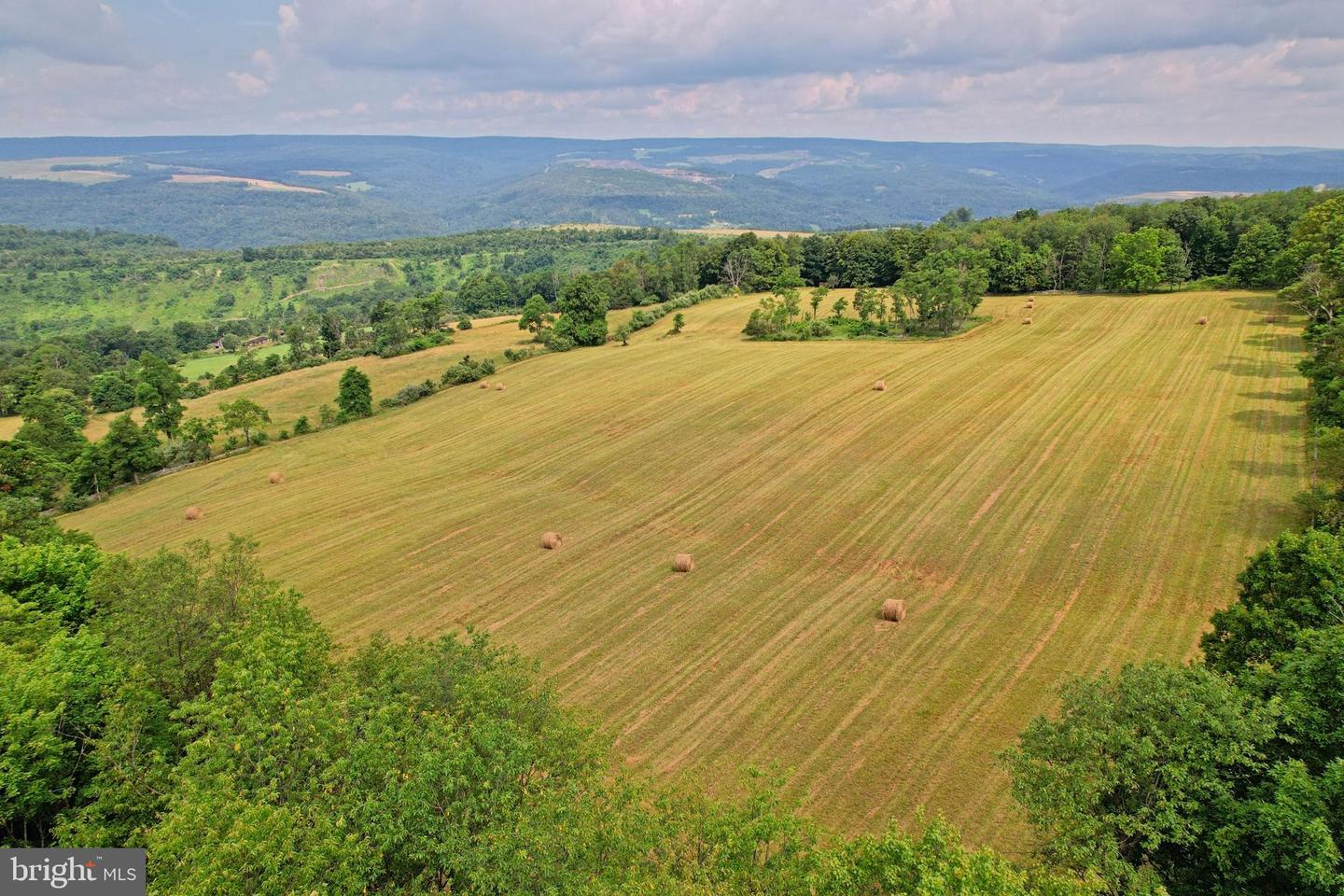 21205 Long Mountain Road Property Photo 15