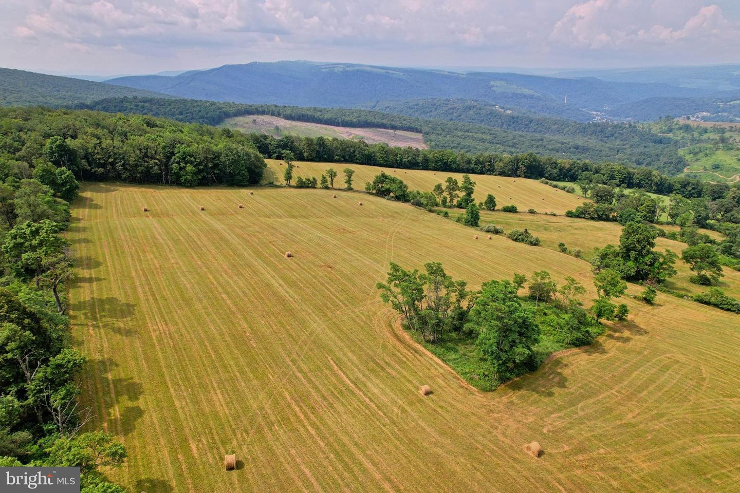 21205 Long Mountain Road Property Photo 17