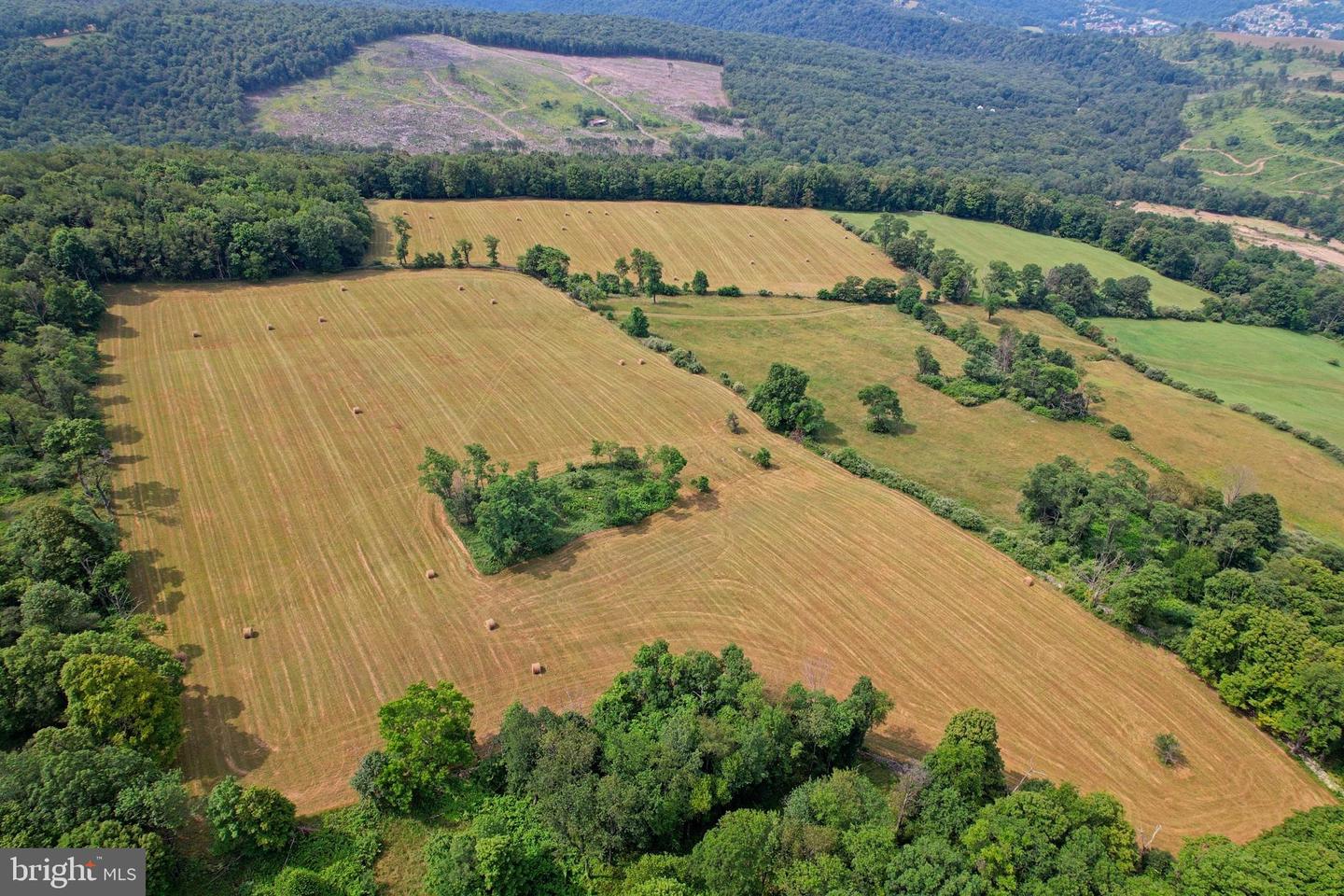 21205 Long Mountain Road Property Photo 18