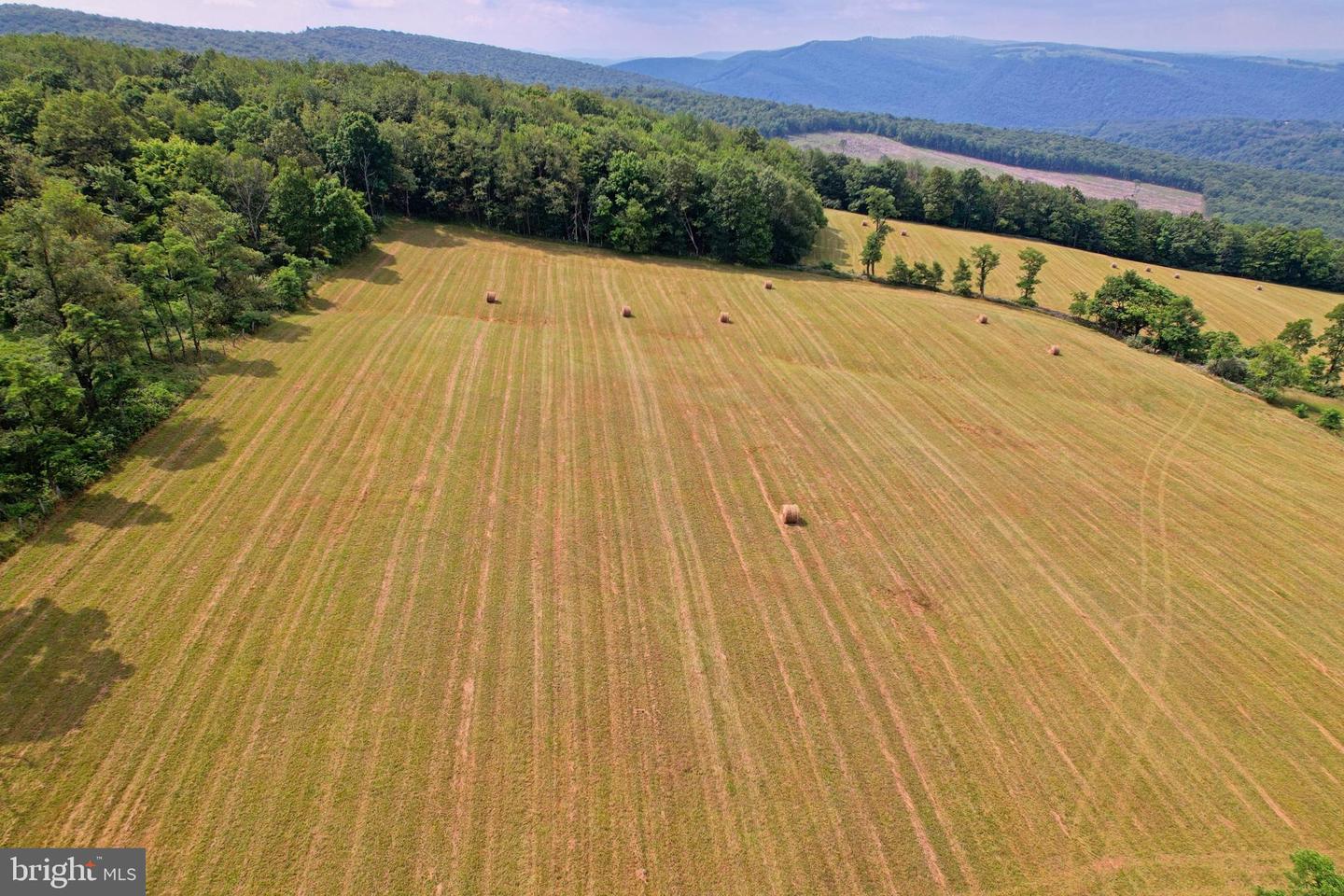 21205 Long Mountain Road Property Photo 23