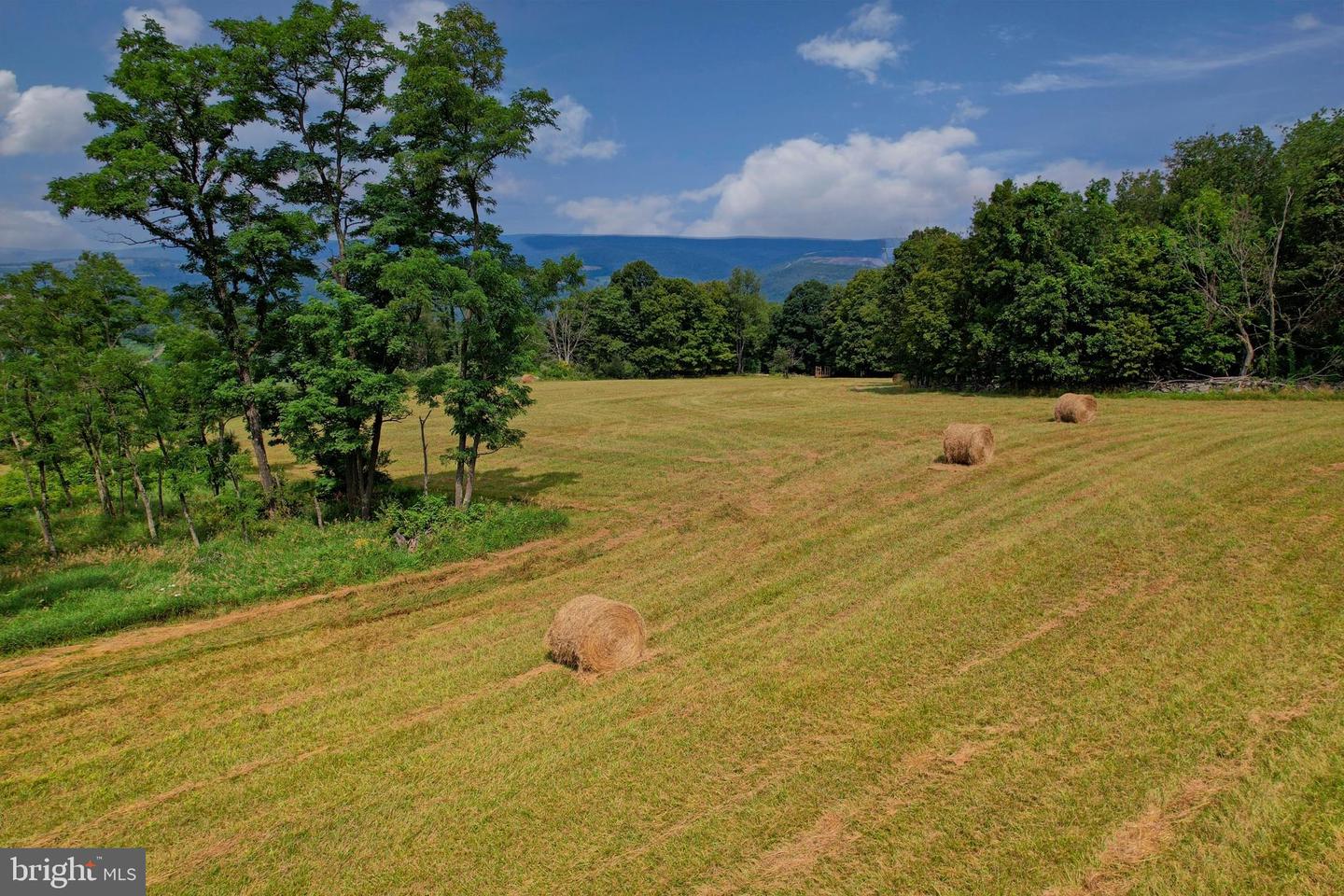 21205 Long Mountain Road Property Photo 24