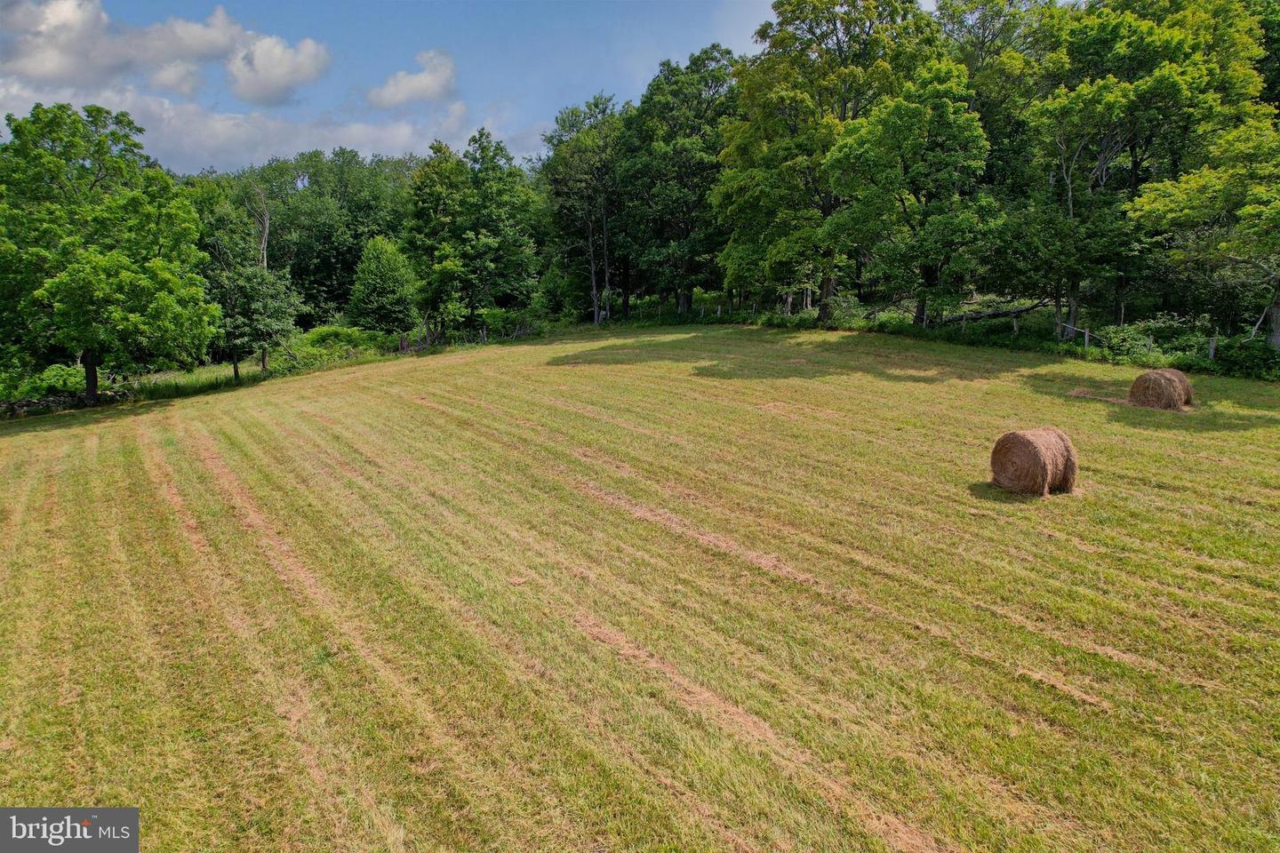 21205 Long Mountain Road Property Photo 25