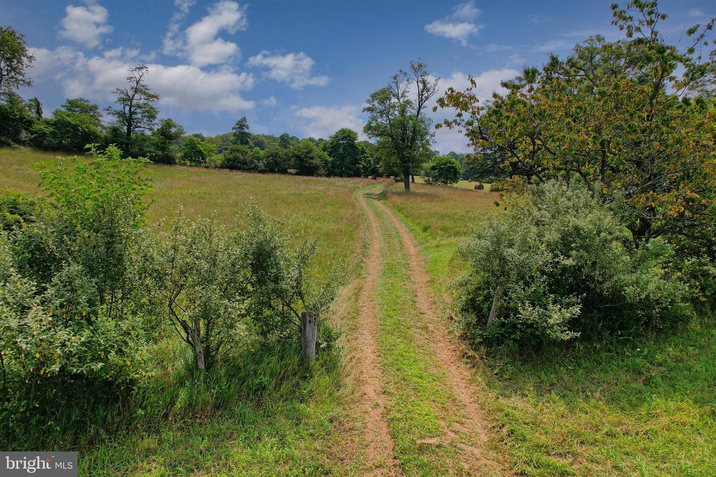 21205 Long Mountain Road Property Photo 26