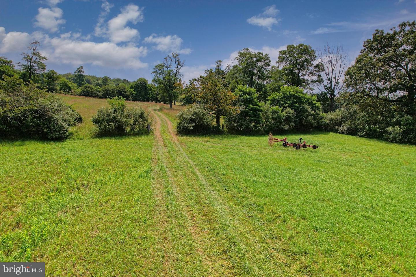 21205 Long Mountain Road Property Photo 28