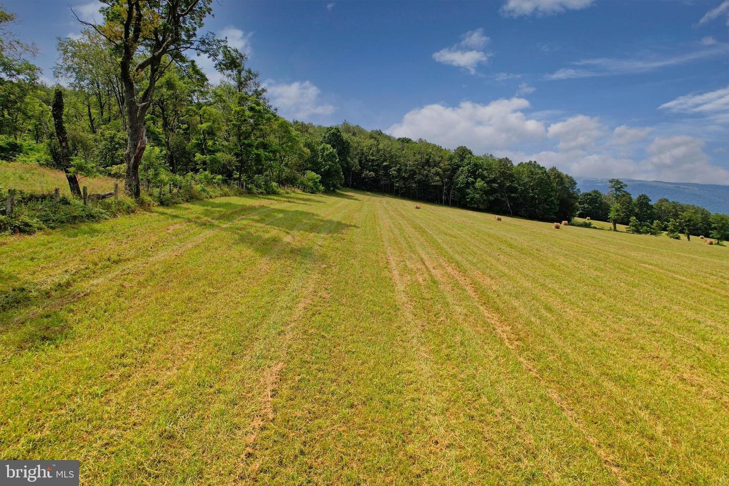 21205 Long Mountain Road Property Photo 29