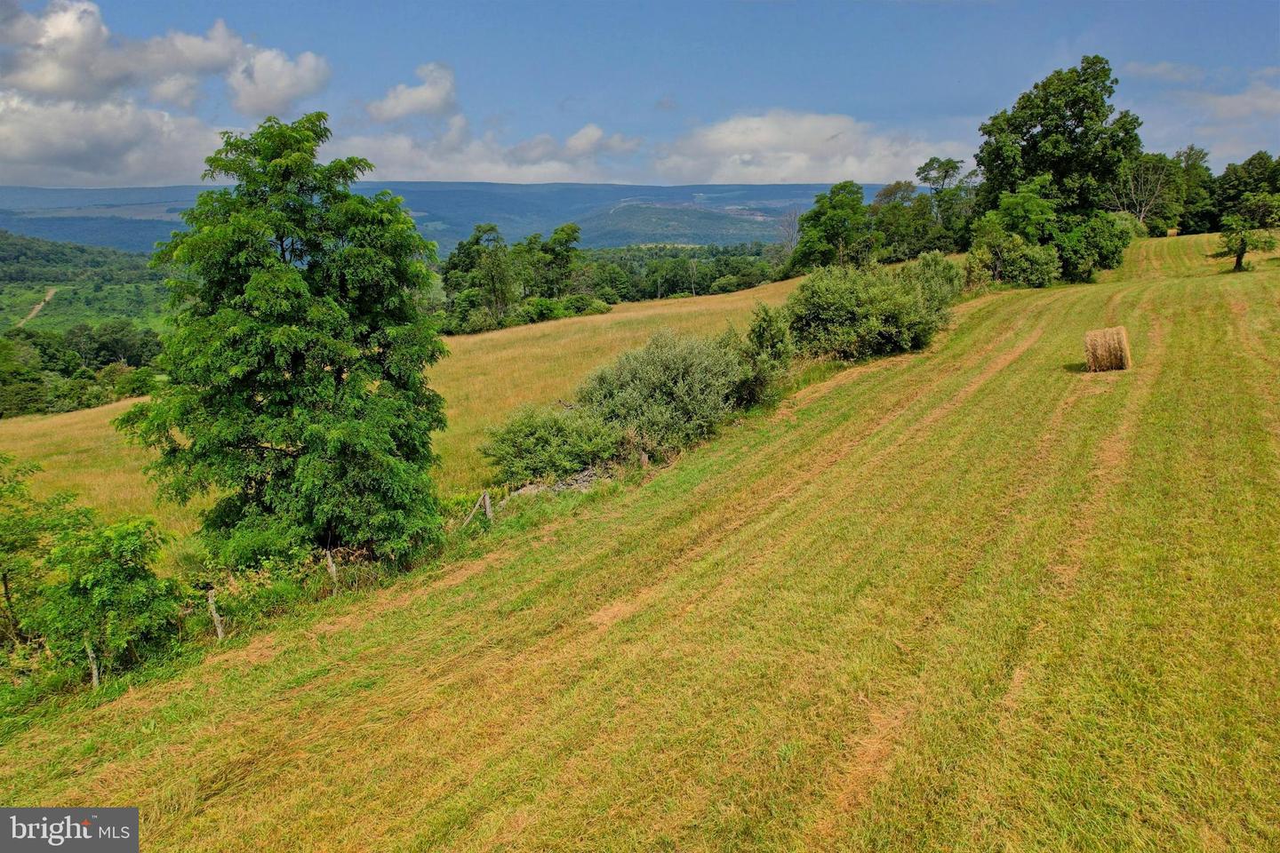 21205 Long Mountain Road Property Photo 33