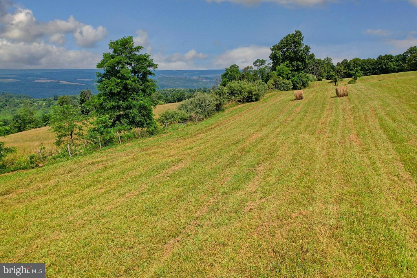 21205 Long Mountain Road Property Photo 34