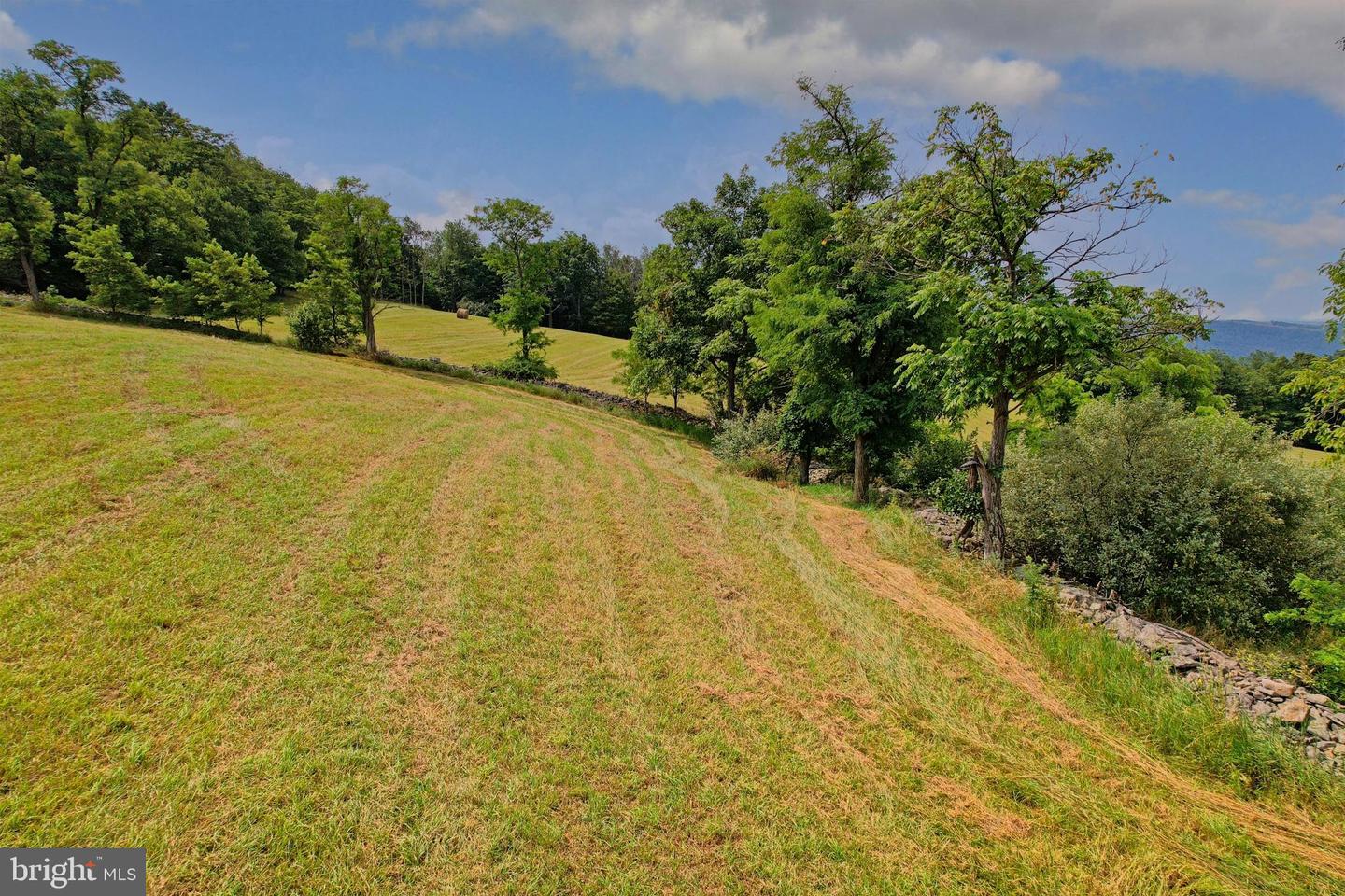 21205 Long Mountain Road Property Photo 35