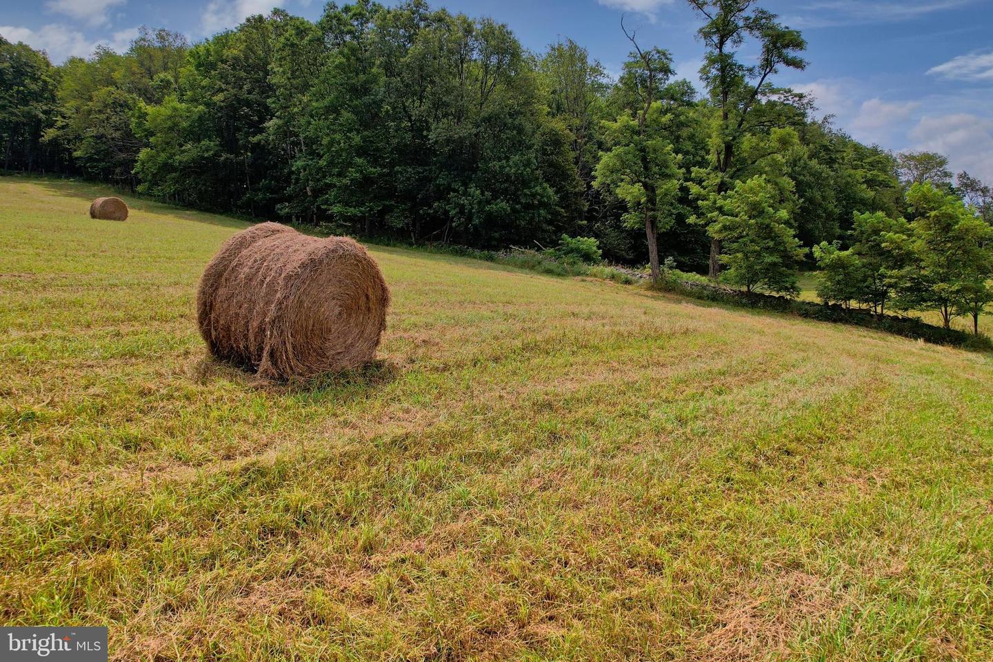 21205 Long Mountain Road Property Photo 37