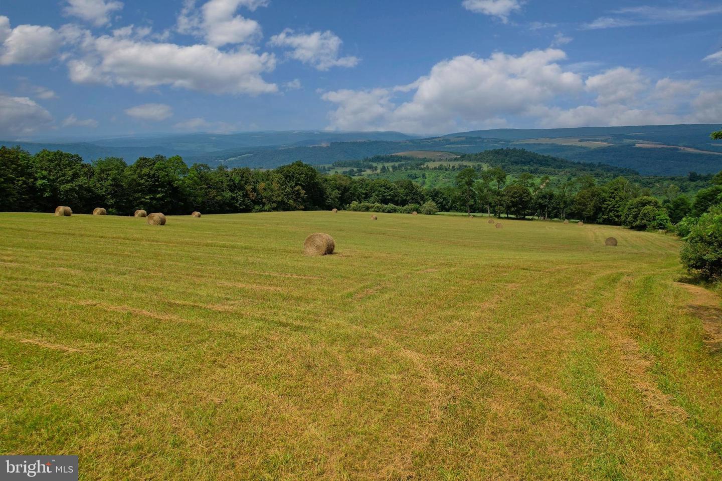 21205 Long Mountain Road Property Photo 39