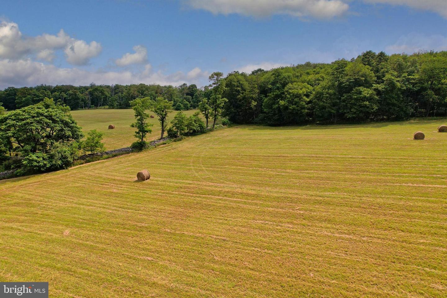 21205 Long Mountain Road Property Photo 40
