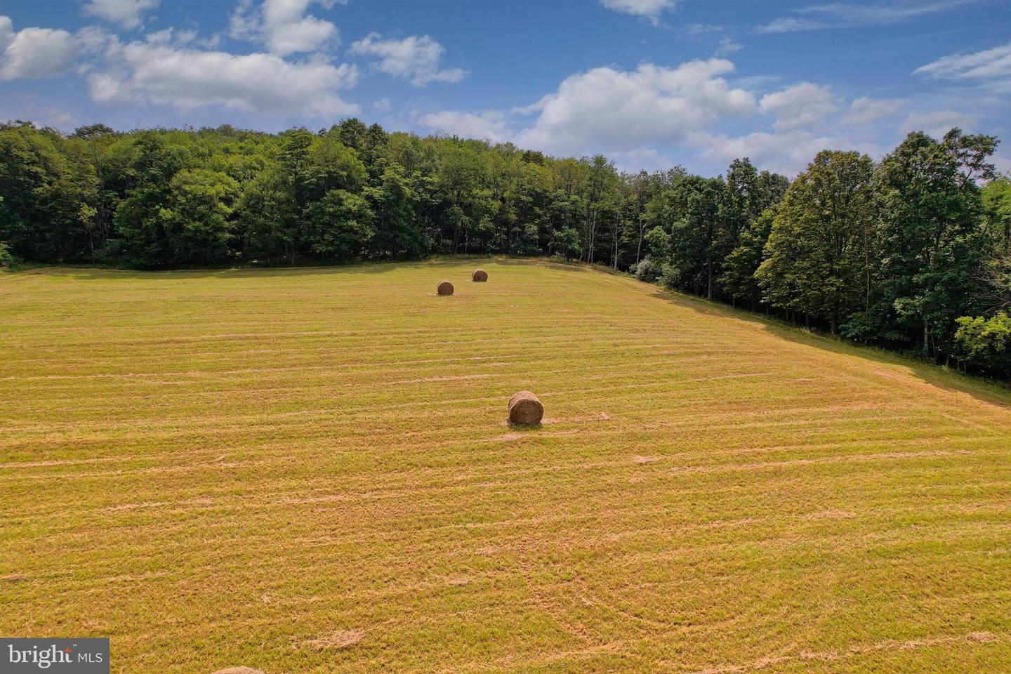 21205 Long Mountain Road Property Photo 41